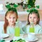 8Pcs St. Patrick's Day Headbands, Green Shamrock Clover Hats Headband Boppers, Saint Patricks Day Irish Headwear Costume Accessories Top Hat Head Band Bopper Party Favors for Women Men Kids